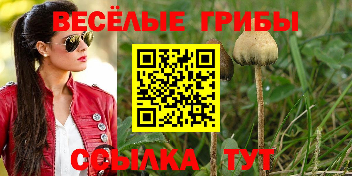 магазин  наркотиков  Псилоцибиновые грибы GOLDEN TEACHER  Красноуфимск  Вход с VPN  Псилоцибиновые грибы мицелий 
